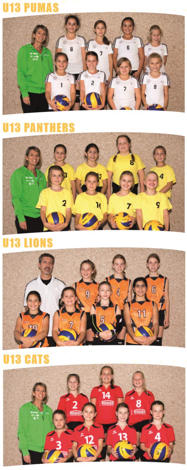 U13 (4 Teams) 17-18