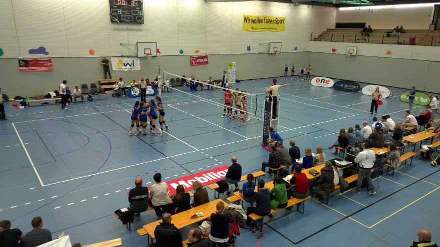 Pflichtsieg für TS Volley Düdingen