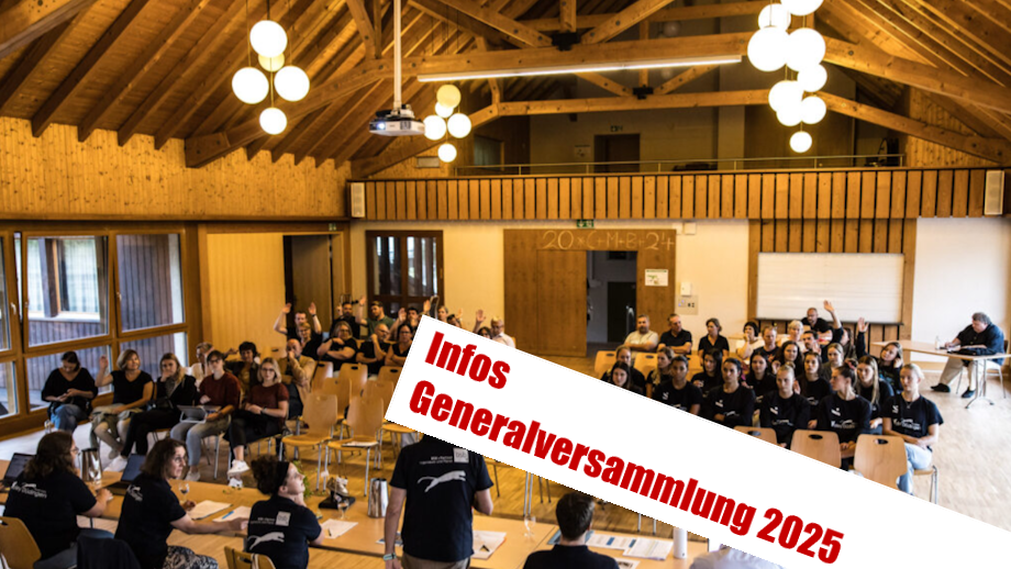 Infos zur GV: Kandidatur Co-Präsidium